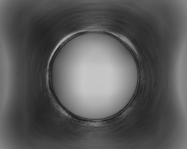 X0000085021288200703050929
