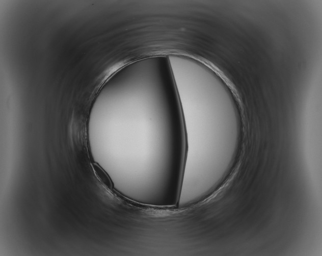X0000085021289200703050929