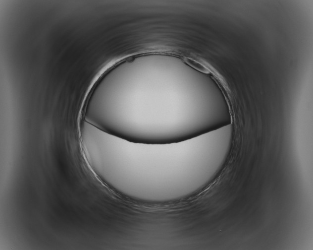 X0000085021291200703050929