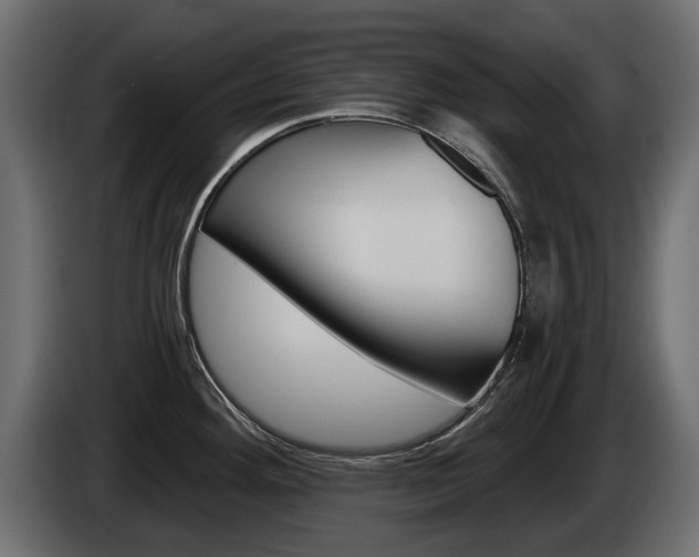 X0000085021292200703050929