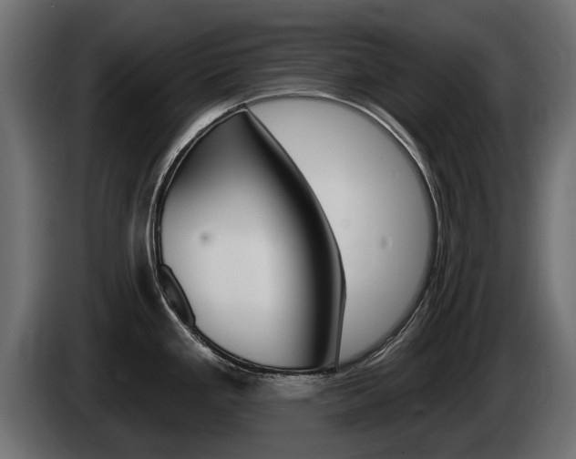 X0000085021293200703050929