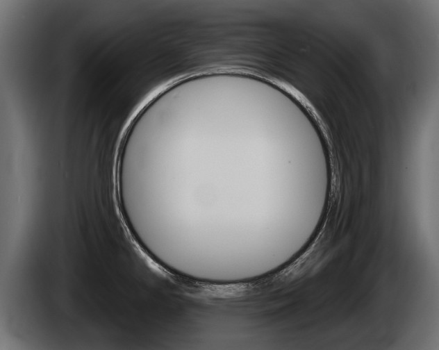 X0000085021294200703050929