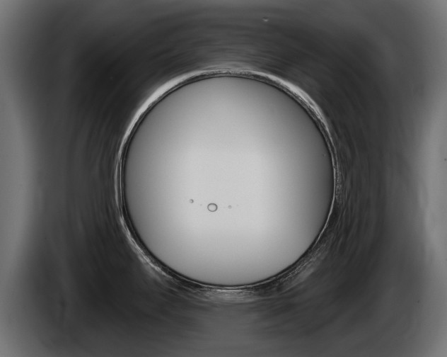 X0000085021295200703050929