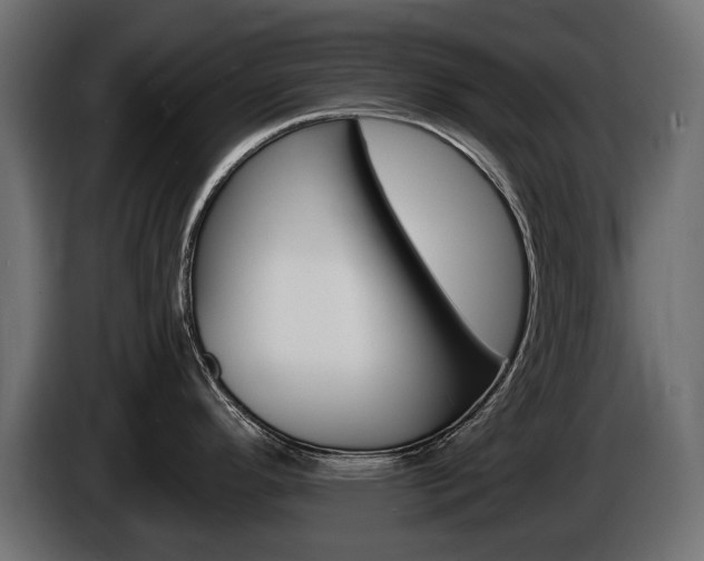 X0000085021296200703050929