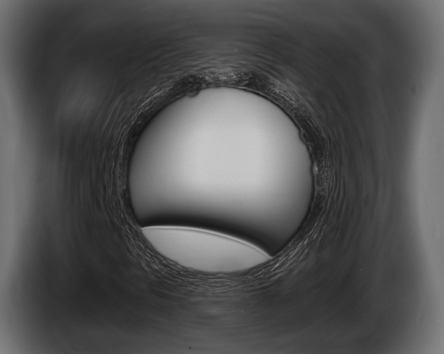 X0000085021297200703050928