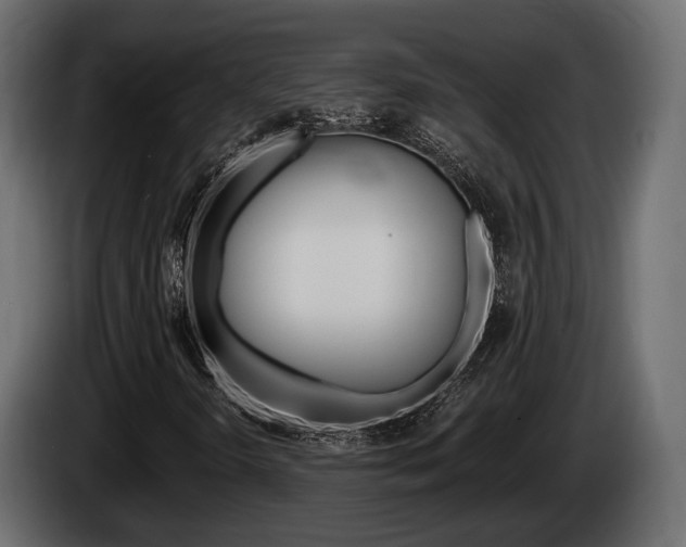 X0000085021298200703050928