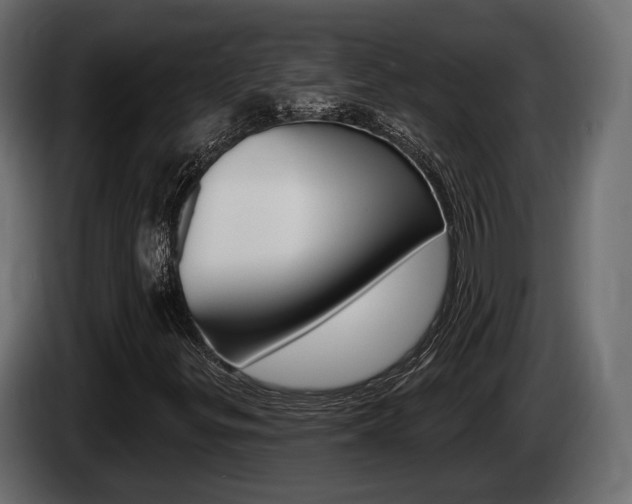 X0000085021299200703050928