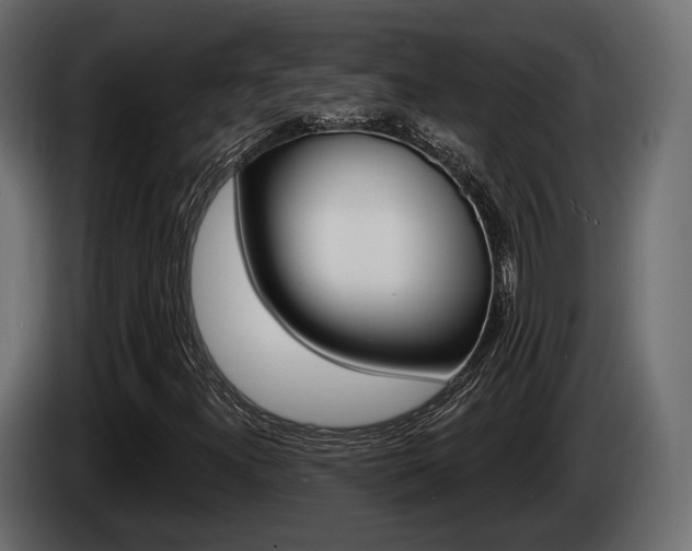 X0000085021300200703050928