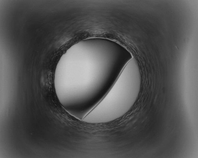 X0000085021301200703050928