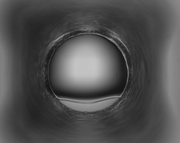 X0000085021304200703050928