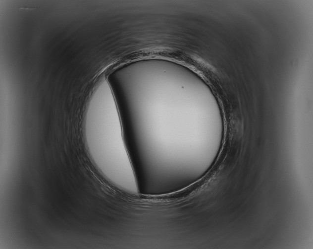 X0000085021305200703050928