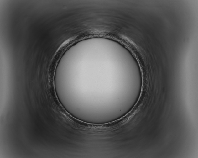 X0000085021306200703050928