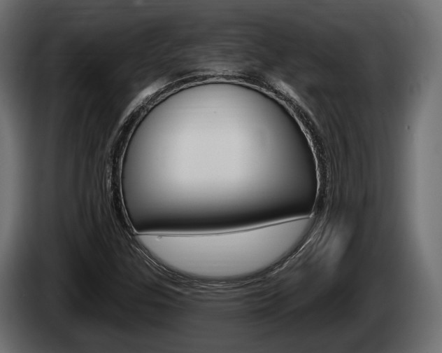 X0000085021307200703050928