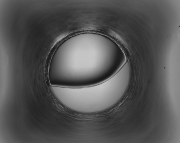 X0000085021308200703050928