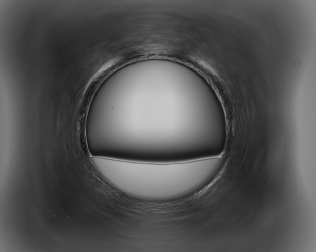 X0000085021309200703050928