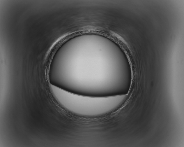 X0000085021310200703050928