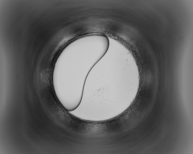 X0000085021314200703050928