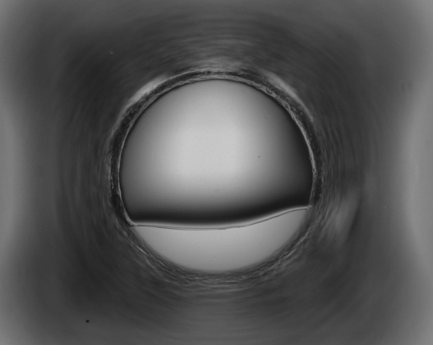 X0000085021315200703050928