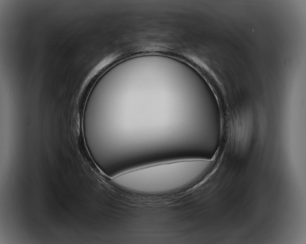 X0000085021317200703050928