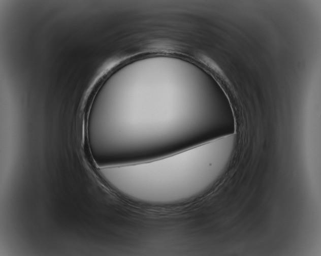 X0000085021323200703050928