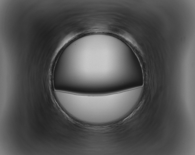 X0000085021325200703050928