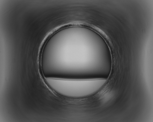 X0000085021327200703050928