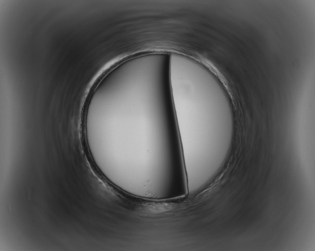 X0000085021331200703050929
