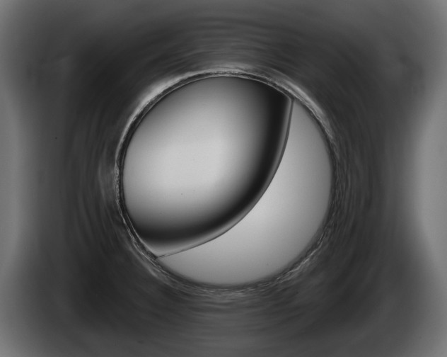 X0000085021332200703050929