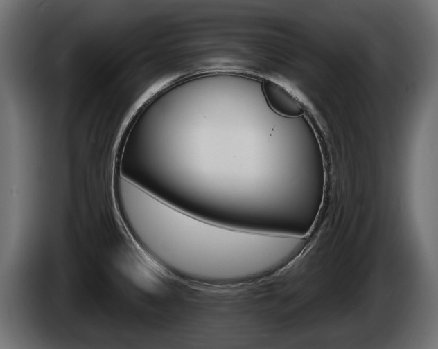 X0000085021333200703050929