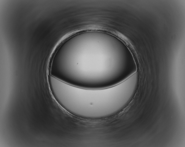 X0000085021334200703050929