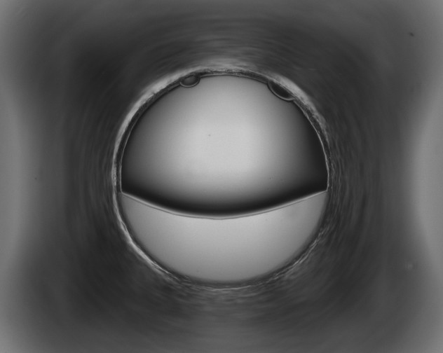 X0000085021335200703050929