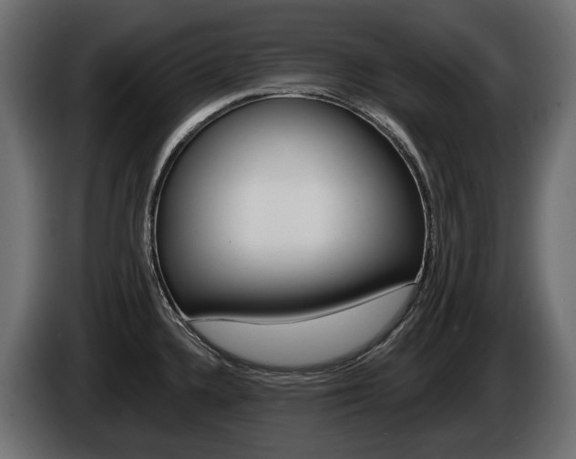 X0000085021336200703050929