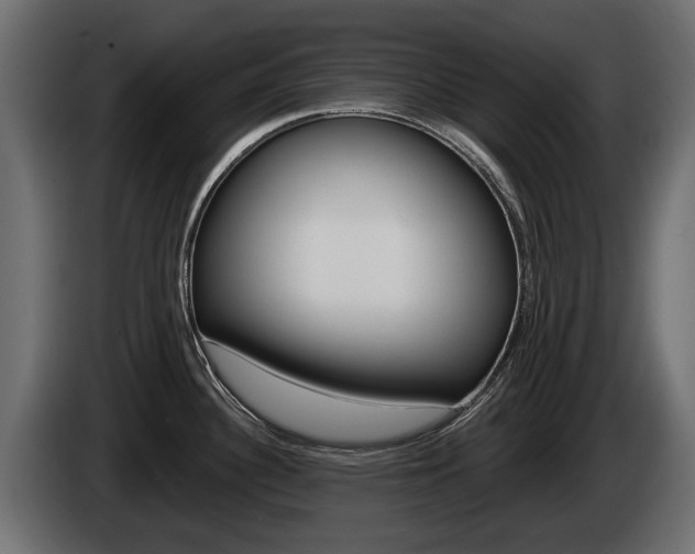 X0000085021340200703050929