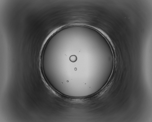 X0000085021341200703050929