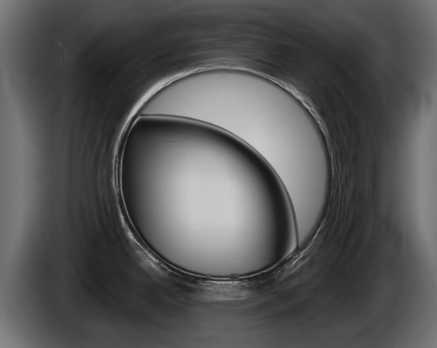 X0000085021342200703050929