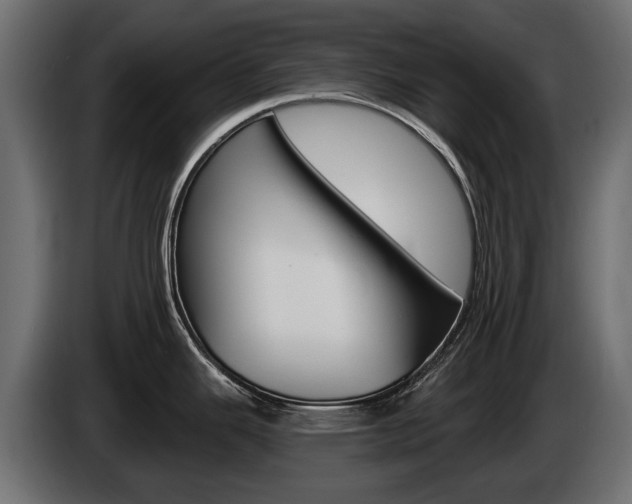 X0000085021343200703050929