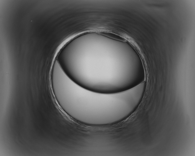 X0000085021344200703050929