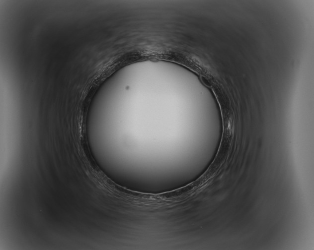 X0000085021348200703050928