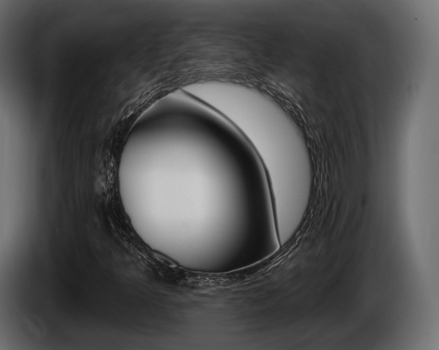 X0000085021349200703050928