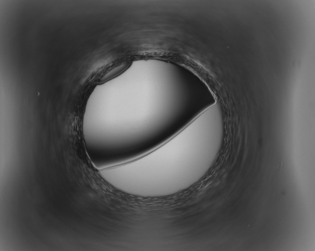 X0000085021351200703050928