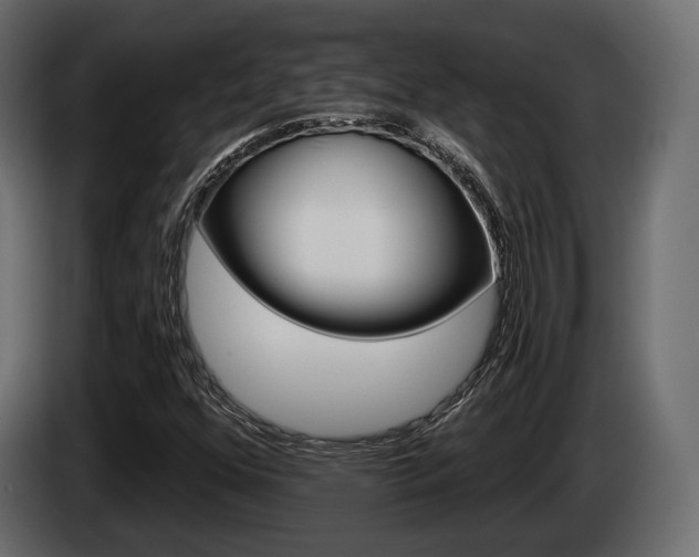 X0000085021352200703050928