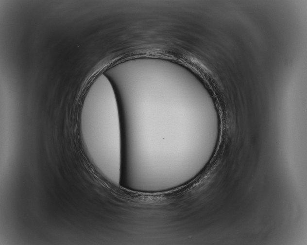 X0000085021354200703050928