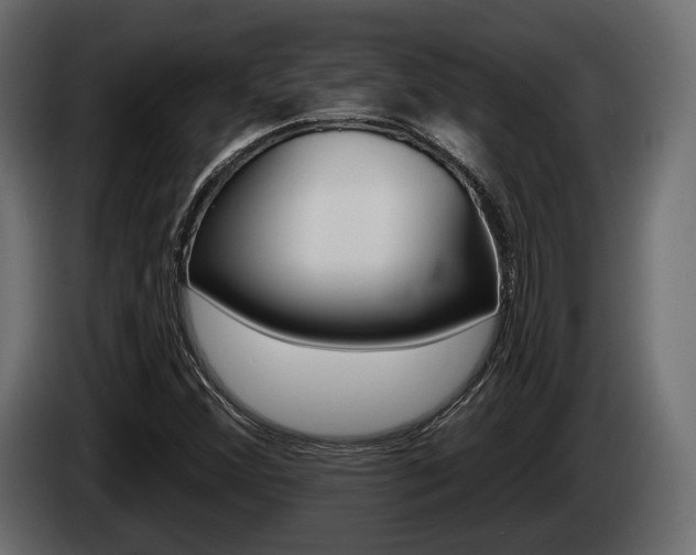X0000085021356200703050928