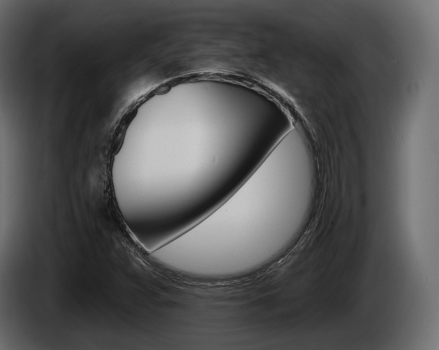 X0000085021359200703050928
