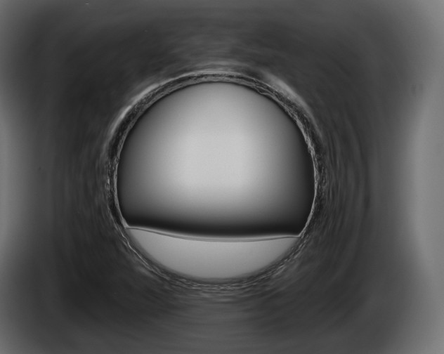 X0000085021360200703050928