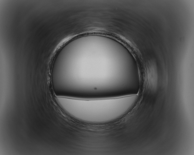 X0000085021363200703050928