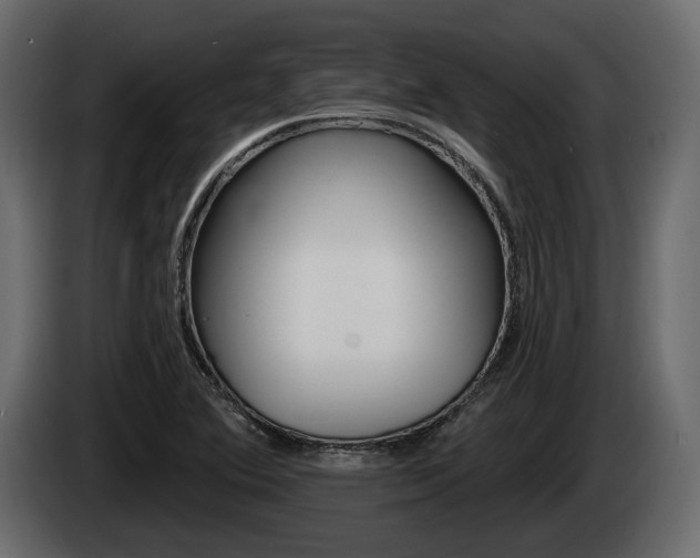 X0000085021364200703050928
