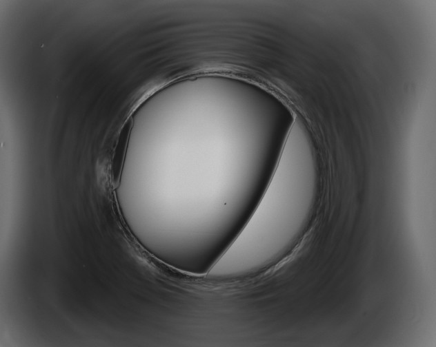 X0000085021369200703050927