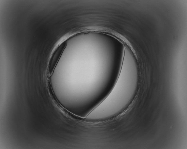 X0000085021373200703050927