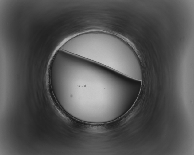 X0000085021375200703050927